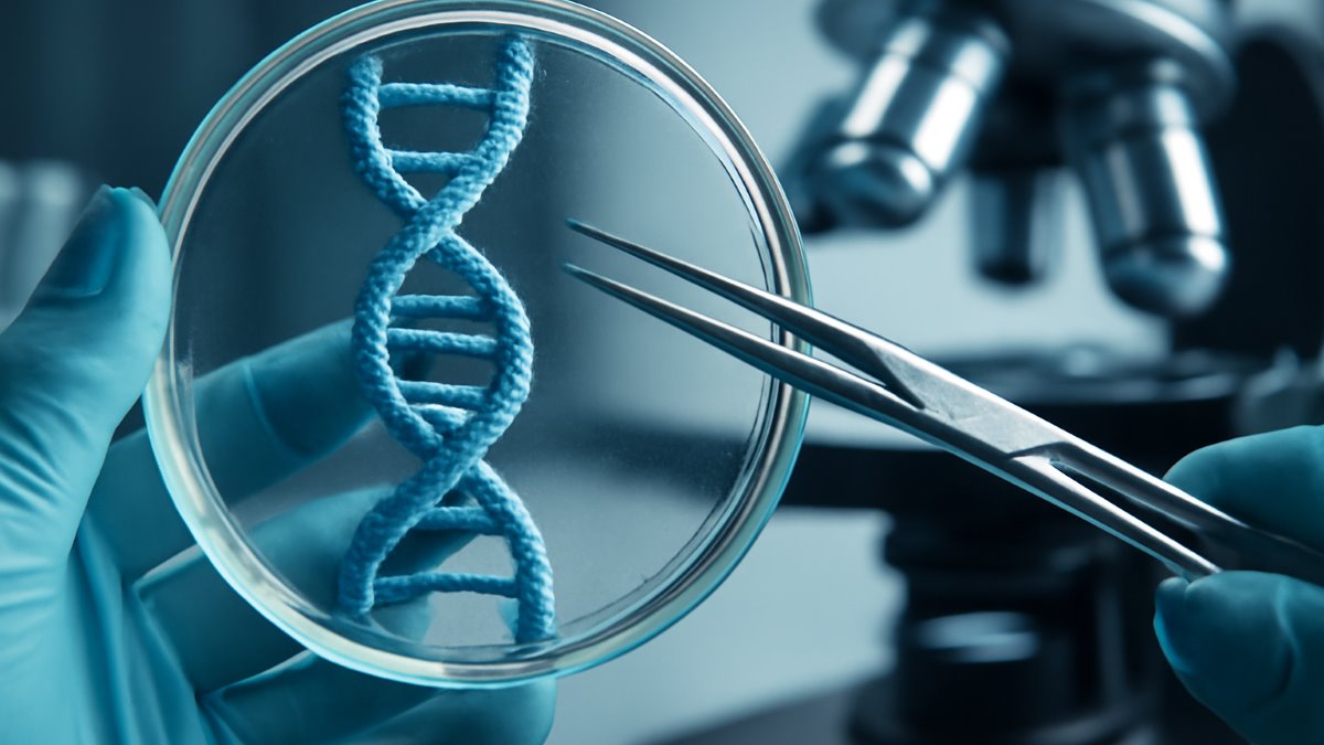 Ezh2: A Crucial Competing Endogenous Rna in Cancer Research-A Scoping Review
