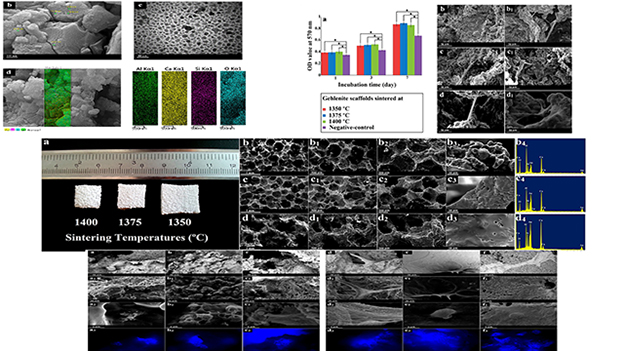 A 3D Nanostructured Calcium-Aluminum-Silicate Scaffold With Hierarchical Meso-Macroporosity for Bone Tissue Regeneration: Fabrication, Sintering Behavior, Surface Modification and in Vitro Studies