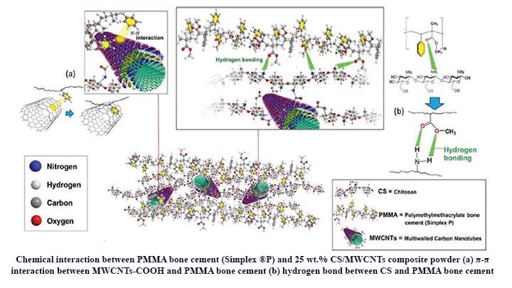 Evaluation of the Effects of Chitosan/Multiwalled Carbon Nanotubes Composite on Physical, Mechanical and Biological Properties of Polymethyl Methacrylate-Based Bone Cements
