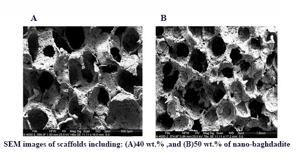 Baghdadite/Polycaprolactone Nanocomposite Scaffolds: Preparation, Characterisation, and in Vitro Biological Responses of Human Osteoblast-Like Cells (Saos-2 Cell Line)