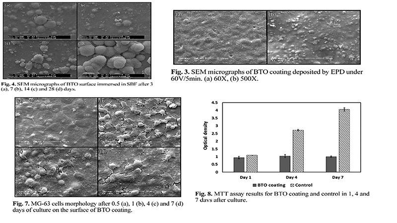 Characterization and in Vitro Evaluation of Nanostructure Barium Titanate Coating on Ti6al4v