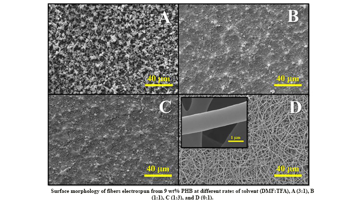 Plasma Surface Modification of Electrospun Polyhydroxybutyrate (Phb) Nanofibers to Investigate Their Performance in Bone Tissue Engineering