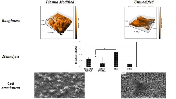 Blood Compatibility and Cell Response Improvement of Poly Glycerol Sebacate/Poly Lactic Acid Scaffold for Vascular Graft Applications