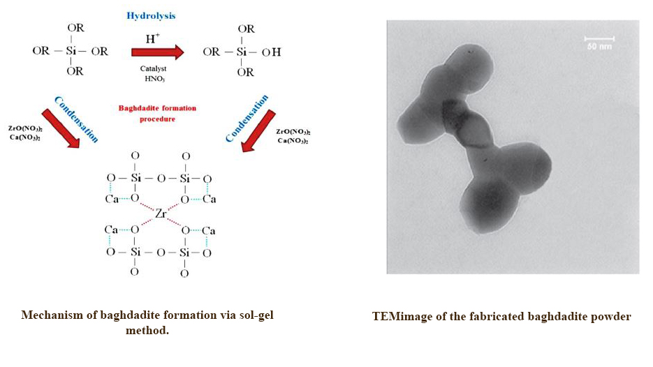Fabrication, Characterization and Examination of in Vitro of Baghdadite Nanoparticles for Biomedical Applications
