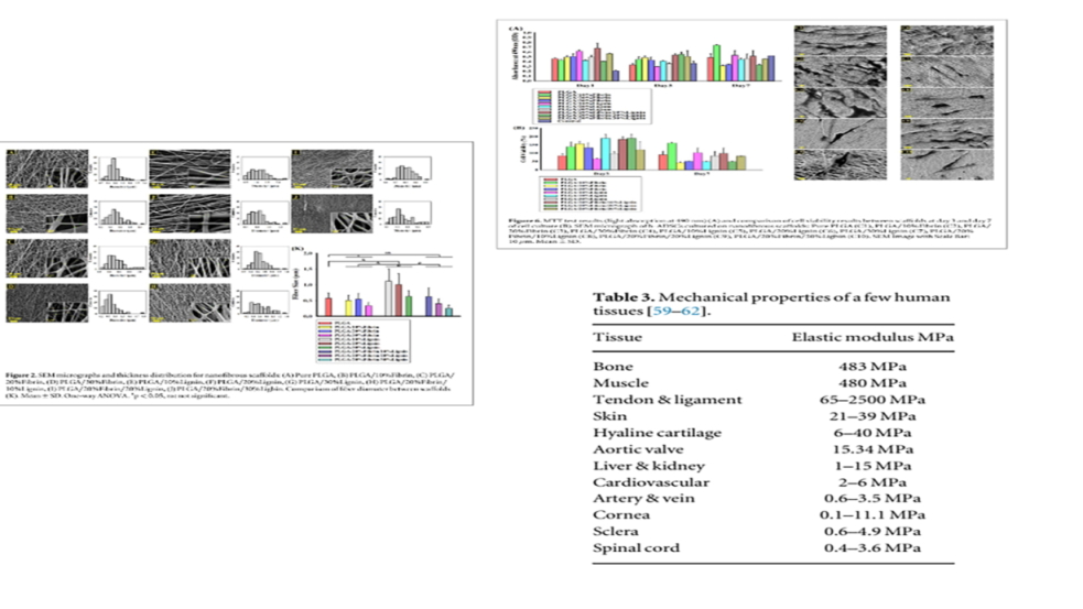 Characterization and Biological Evaluation of New Plga/Fibrin/Lignin Biocomposite Electrospun Scaffolds