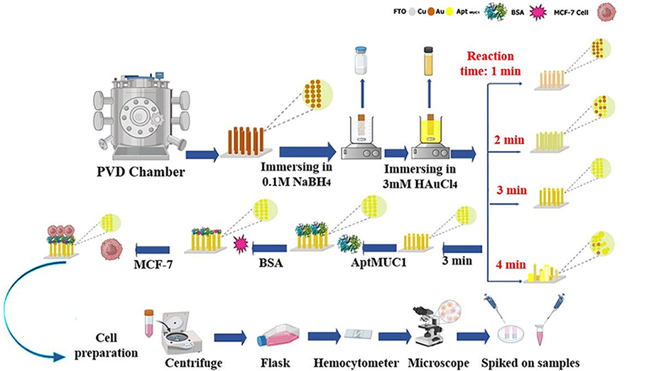 Precision in Cancer Diagnostics: Ultra-Sensitive Detection of Mcf-7 Breast Cancer Cells by Gold Nanostructure-Enhanced Electrochemical Biosensing