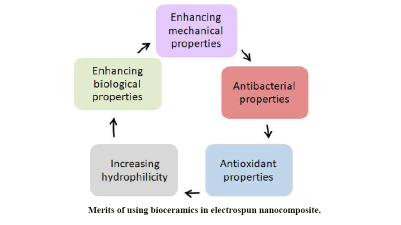 Incorporation of Inorganic Bioceramics Into Electrospun Scaffolds for Tissue Engineering Applications: A Review