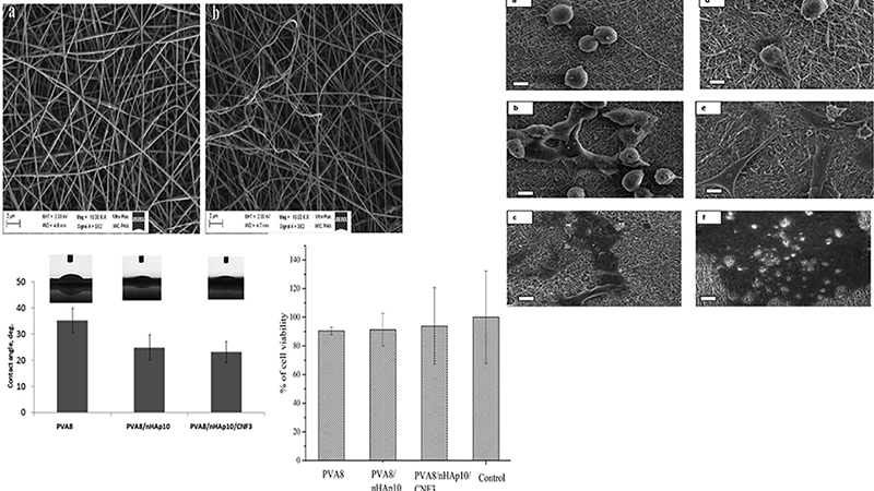 Development of Electrospun Poly (Vinyl Alcohol)-Based Bionanocomposite Scaffolds for Bone Tissue Engineering