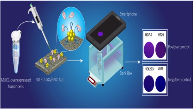 Smartphone-Assisted Lab-In-A-Tube Device Using Gold Nanocluster-Based Aptasensor for Detection of Muc1-Overexpressed Tumor Cells