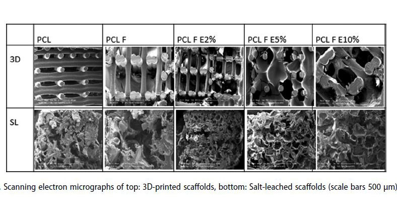 Effects of Cartilage Acellular Solubilised Ecm on Physicomechanical and Biological Properties of Polycaprolactone/Fibrin Hybrid Scaffold Fabricated by 3D-Printing and Salt-Leaching Methods