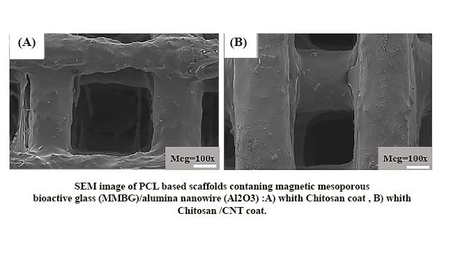 Physical, Mechanical, and Biological Performance of Chitosan-Based Nanocomposite Coating Deposited on the Polycaprolactone-Based 3D Printed Scaffold: Potential Application in Bone Tissue Engineering