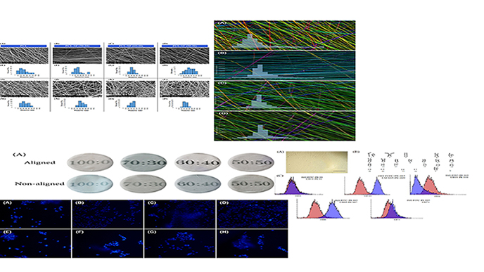 Corneal Stromal Regeneration by Hybrid Oriented Poly (Ε-Caprolactone)/Lyophilized Silk Fibroin Electrospun Scaffold