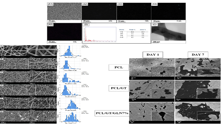A Ternary Nanocomposite Fibrous Scaffold Composed of Poly(Ε-Caprolactone)/Gelatin/Gehlenite (Ca2al2sio7): Physical, Chemical, and Biological Properties in Vitro