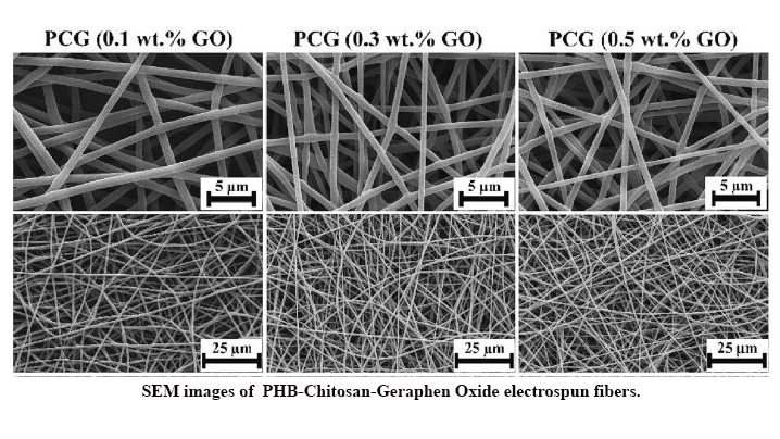 Investigation of Physical, Mechanical and Biological Properties of Polyhydroxybutyrate-Chitosan/Graphene Oxide Nanocomposite Scaffolds for Bone Tissue Engineering Applications