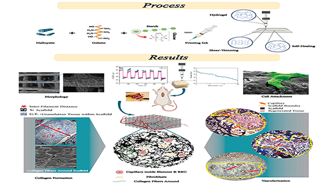 3D-Printing of Shear-Thinning and Self-Healing Gelatin/Starch/Halloysite-Nanotube Hydrogels for Soft Tissue Engineering: An in Vitro and in Vivo Assessment