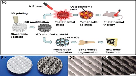 The Journey of Multifunctional Bone Scaffolds Fabricated From Traditional Toward Modern Techniques