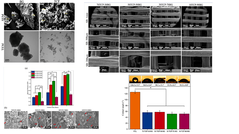 The Impact of 45S5 Bioglass Vs. Β-Tcp Nanoparticles Ratio on Rheological Behavior of Formulated Printing Inks and 3D Printed Polycaprolactone-Based Scaffolds Final Properties