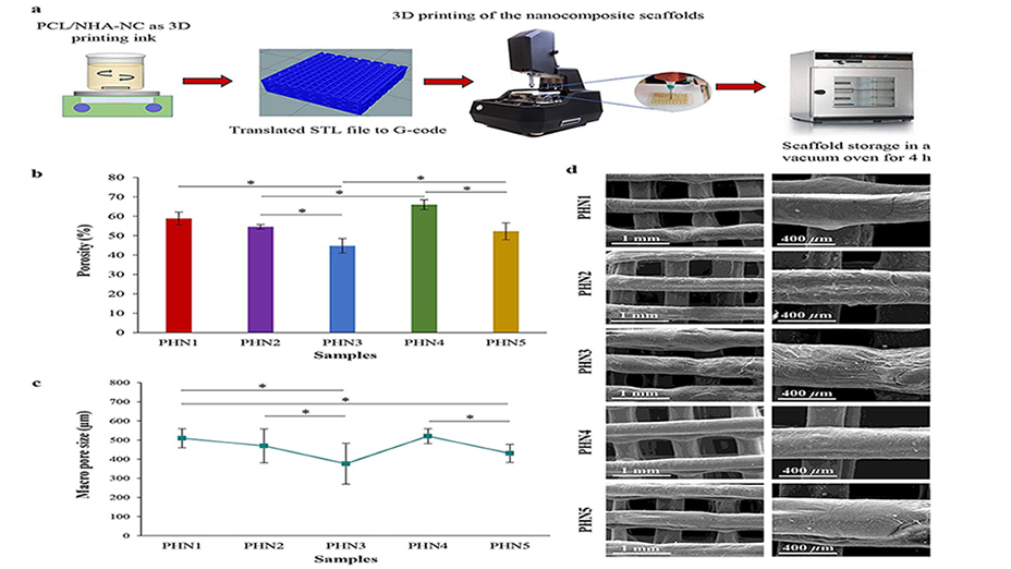 A Novel Three-Dimensional-Printed Polycaprolactone/Nanohydroxyapatite-Nanoclay Scaffold for Bone Tissue Engineering Applications