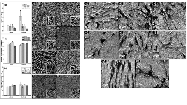 Adipose-Derived Stem Cells Growth and Proliferation Enhancement Using Poly (Lactic-Co-Glycolic Acid) (Plga)/Fibrin Nanofiber Mats