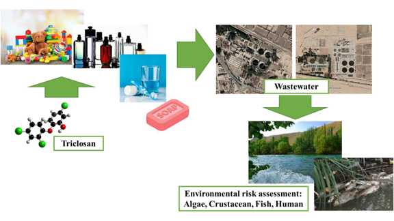 Ecotoxicological and Human Health Risk Assessment of Triclosan Antibacterial Agent From Municipal Wastewater Treatment Plants