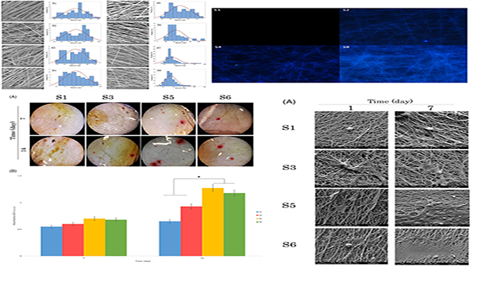Electrospun Captopril-Loaded Pcl-Carbon Quantum Dots Nanocomposite Scaffold: Fabrication, Characterization, and in Vitro Studies