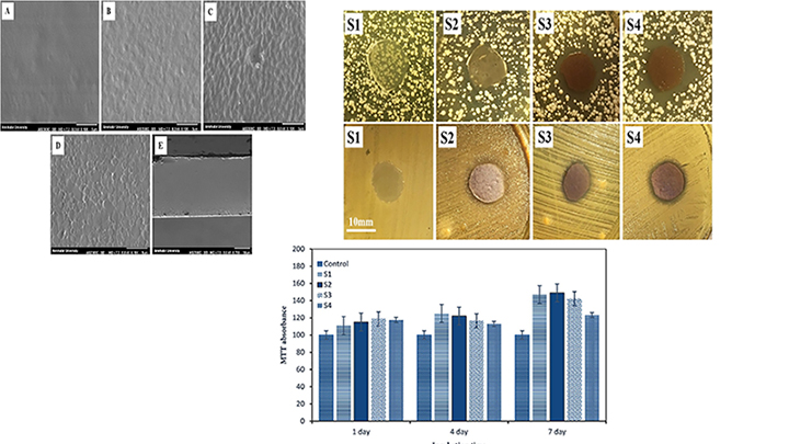 Physicochemical, Antimicrobial and Cytotoxic Characteristics of Corn Starch Film Containing Propolis for Wound Dressing
