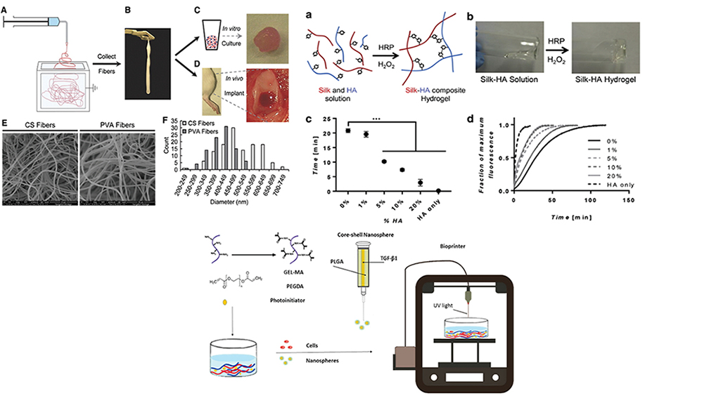 Hybrid and Composite Scaffolds Based on Extracellular Matrices for Cartilage Tissue Engineering