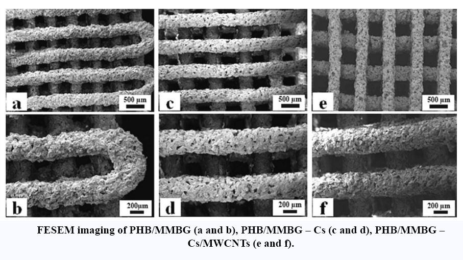 Chitosan/Mwcnts Nanocomposite Coating on 3D Printed Scaffold of Poly 3-Hydroxybutyrate/Magnetic Mesoporous Bioactive Glass: A New Approach for Bone Regeneration