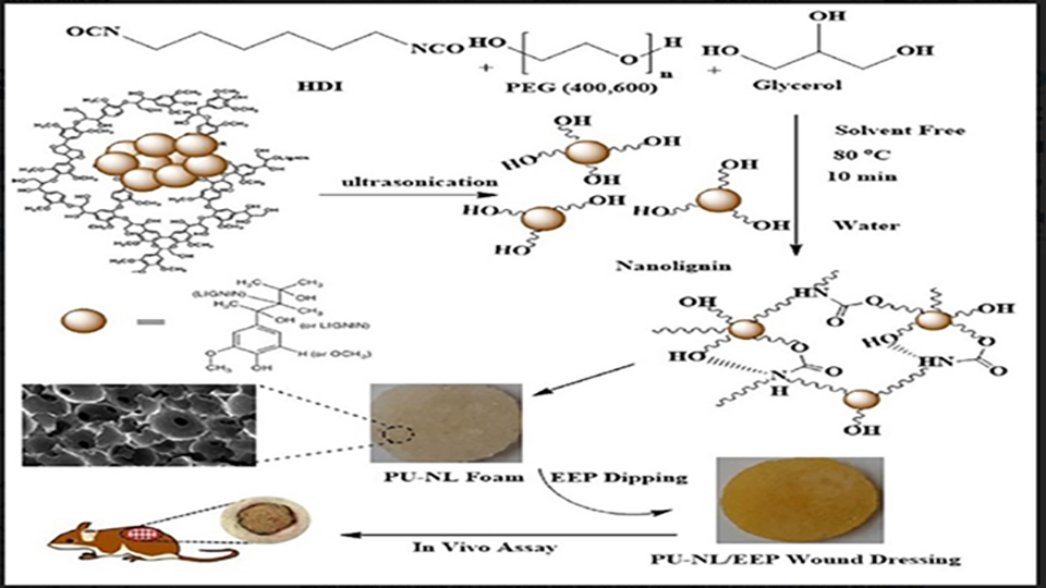 Polyurethane-Nanolignin Composite Foam Coated With Propolis As a Platform for Wound Dressing: Synthesis and Characterization