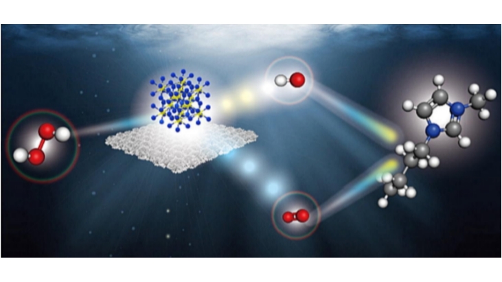 Direct Growth of Nano-Worm-Like Cu2s on Copper Mesh As a Hierarchical 3D Catalyst for Fenton-Like Degradation of an Imidazolium Room-Temperature Ionic Liquid in Water