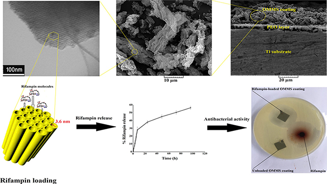 Electrophoretically Deposited Mesoporous Magnesium Silicate With Ordered Nanopores As an Antibiotic-Loaded Coating on Surface-Modified Titanium
