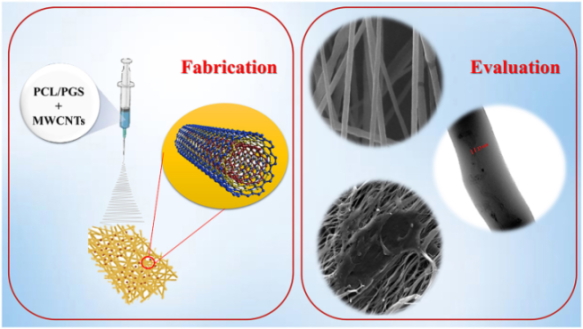 A Study on the Role of Multi-Walled Carbon Nanotubes on the Properties of Electrospun Poly(Caprolactone)/Poly(Glycerol Sebacate) Scaffold for Nerve Tissue Applications