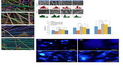 Design and Fabrication of Poly (Glycerol Sebacate)-Based Fibers for Neural Tissue Engineering: Synthesis, Electrospinning, and Characterization