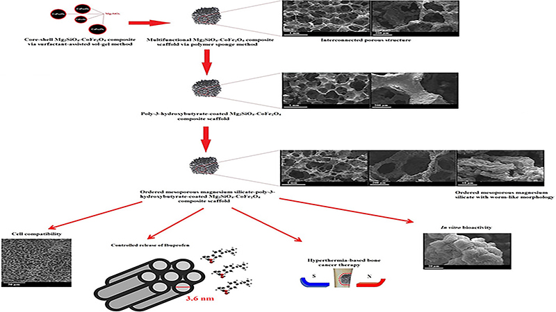 Hierarchical Porous Mg2sio4-Cofe2o4 Nanomagnetic Scaffold for Bone Cancer Therapy and Regeneration: Surface Modification and in Vitro Studies