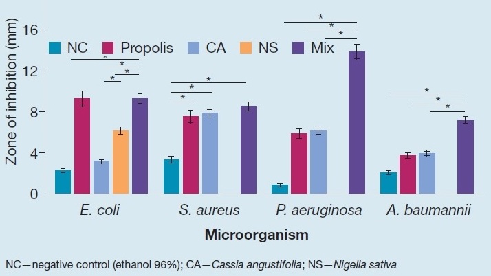 Antimicrobial Activity and Wound Healing Effect of a Novel Natural Ointment: An in Vitro and in Vivo Study