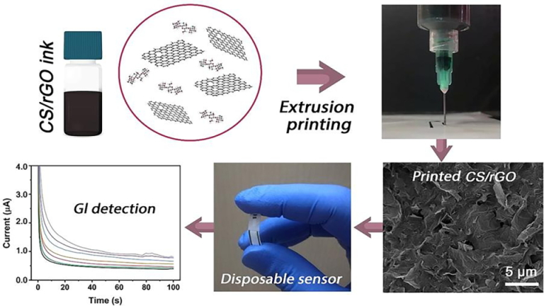 Water-Based Chitosan/Reduced Graphene Oxide Ink for Extrusion Printing of a Disposable Amperometric Glucose Sensor