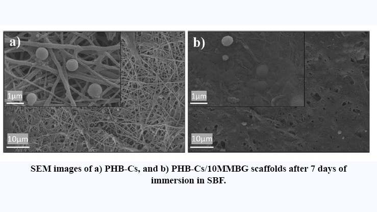 Ultra-Thin Electrospun Nanocomposite Scaffold of Poly (3-Hydroxybutyrate)-Chitosan/Magnetic Mesoporous Bioactive Glasses for Bone Tissue Engineering Applications