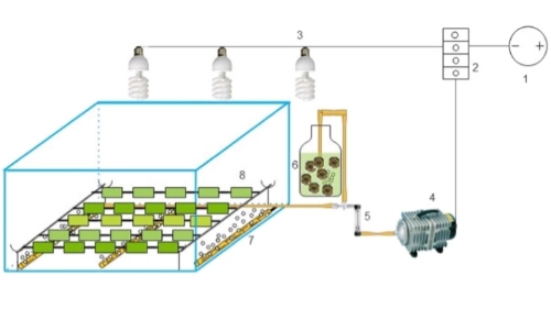 An Innovative Approach to Attached Cultivation of Chlorella Vulgaris Using Different Materials