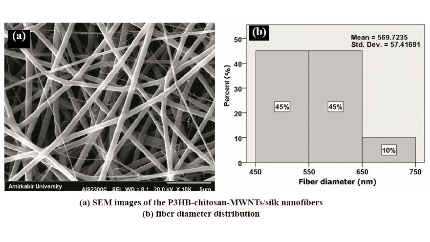 Evaluation of Physical, Mechanical and Biological Properties of Poly 3-Hydroxybutyrate-Chitosan-Multiwalled Carbon Nanotube/Silk Nano-Micro Composite Scaffold for Cartilage Tissue Engineering Applications