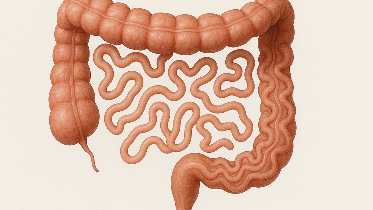Nutritional Interventions in Adult Patients With Irritable Bowel Syndrome: An Umbrella Review of Systematic Reviews and Meta-Analyses of Randomized Clinical Trials