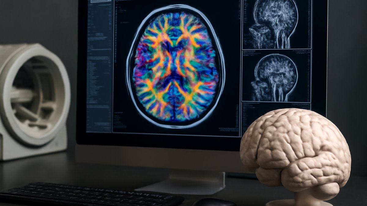Glioblastoma Multiforme: Insights Into Pathogenesis, Key Signaling Pathways, and Therapeutic Strategies