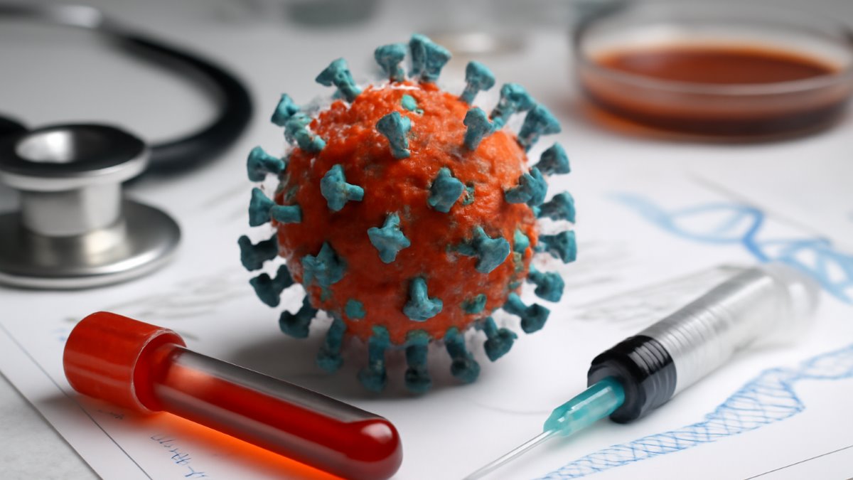 Assessing the Clinical and Biochemical Efficacy of Alpha-Lipoic Acid in Patients With Non-Alcoholic Fatty Liver Disease: A Randomized Placebo-Controlled Clinical Trial