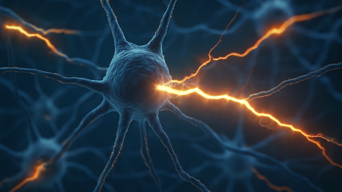 The Reinstatement of the Expression Phase of Morphine-Induced Conditioned Place Preference in Male Wistar Rats Under Ventral Tegmental Area Stimulation and Brief Inactivation
