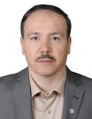 Reza Negarandeh