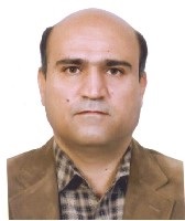 Reza Meshkani