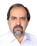 Ali Akbar Amirzargar