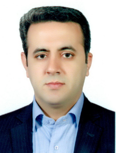 Seyed Mohsen Mir