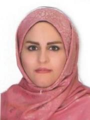 Narjes Soleimanifar