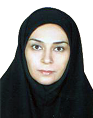 Maryam Noorzadeh