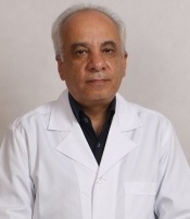 Amir Houshang Beheshtnejad